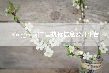 濮阳中国执行信息公开平台