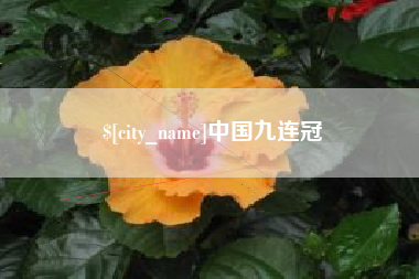 濮阳中国九连冠