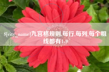 濮阳九宫格规则,每行,每列,每个粗线都有1-9