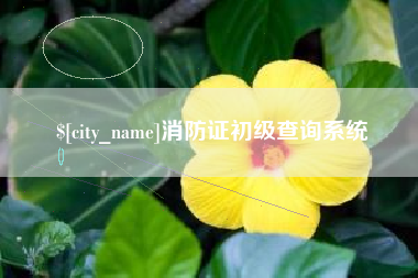 濮阳消防证初级查询系统