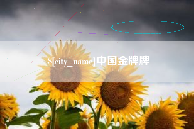 濮阳中国金牌牌