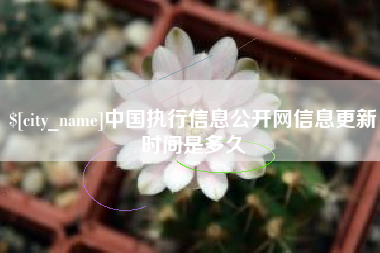 濮阳中国执行信息公开网信息更新时间是多久