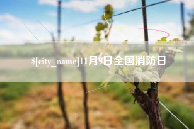 濮阳11月9日全国消防日