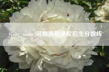 濮阳河南消防学校招生分数线