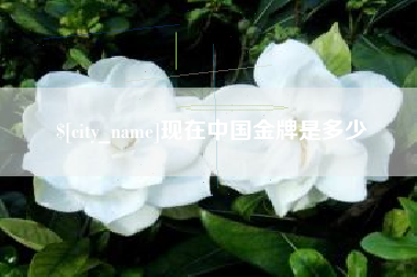 濮阳现在中国金牌是多少