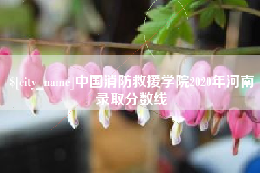 濮阳中国消防救援学院2020年河南录取分数线