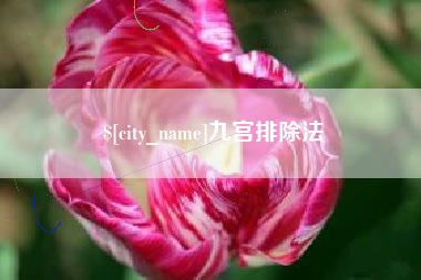 濮阳九宫排除法