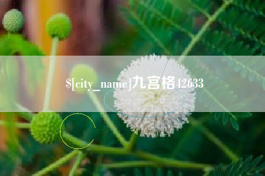 濮阳九宫格42633