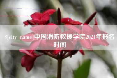 濮阳中国消防救援学院2021年报名时间