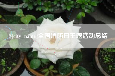 濮阳全国消防日主题活动总结