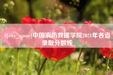 濮阳中国消防救援学院2021年各省录取分数线