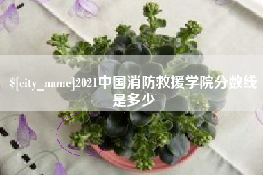 濮阳2021中国消防救援学院分数线是多少