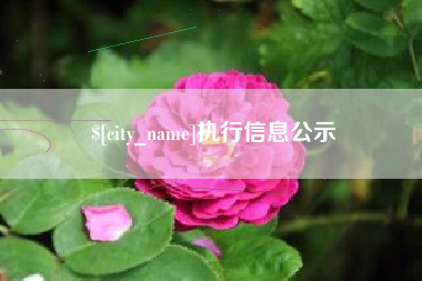 濮阳执行信息公示
