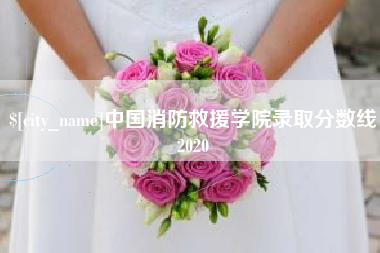 濮阳中国消防救援学院录取分数线2020