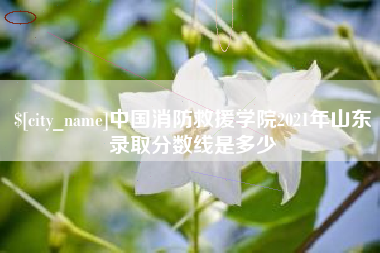濮阳中国消防救援学院2021年山东录取分数线是多少
