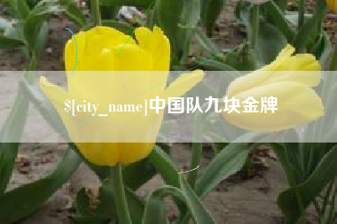 濮阳中国队九块金牌