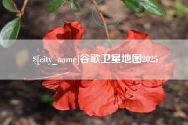 濮阳谷歌卫星地图2025