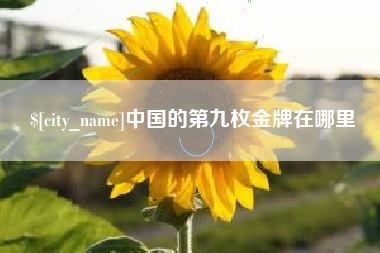 濮阳中国的第九枚金牌在哪里