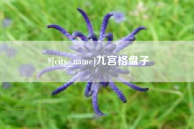 濮阳九宫格盘子