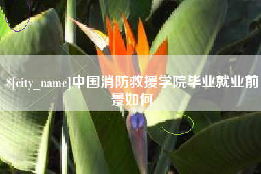 濮阳中国消防救援学院毕业就业前景如何