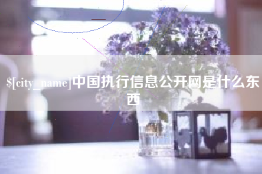 濮阳中国执行信息公开网是什么东西