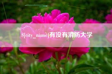 濮阳有没有消防大学