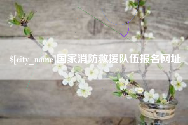 濮阳国家消防救援队伍报名网址