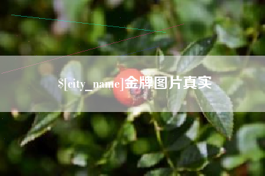 濮阳金牌图片真实