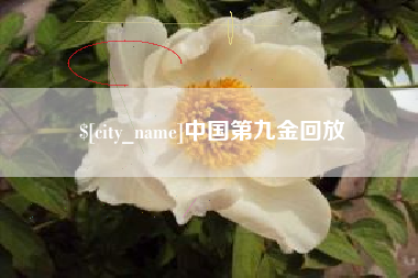 濮阳中国第九金回放