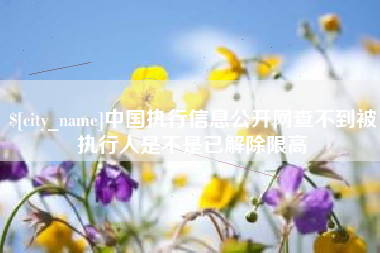 濮阳中国执行信息公开网查不到被执行人是不是已解除限高