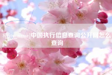 濮阳中国执行信息查询公开网怎么查询