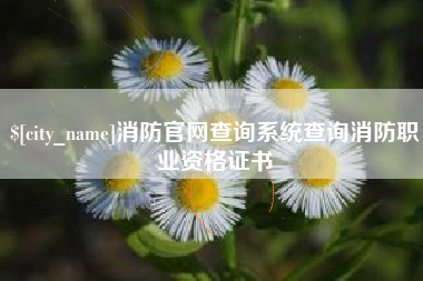 濮阳消防官网查询系统查询消防职业资格证书