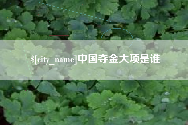 濮阳中国夺金大项是谁