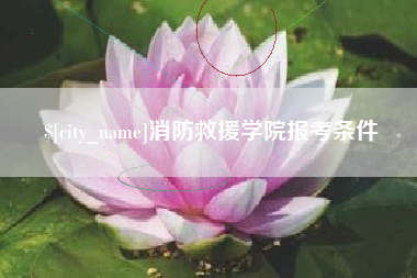 濮阳消防救援学院报考条件