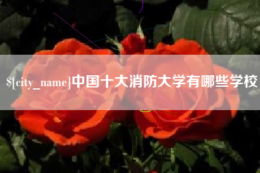 濮阳中国十大消防大学有哪些学校