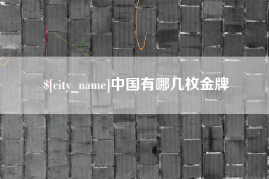 濮阳中国有哪几枚金牌