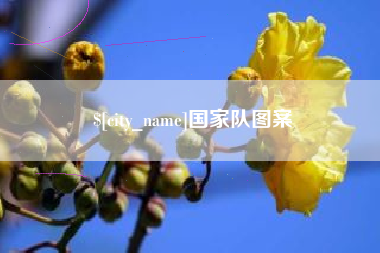 濮阳国家队图案
