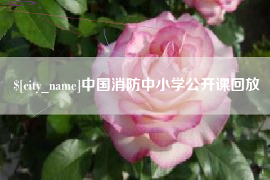 濮阳中国消防中小学公开课回放