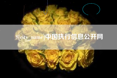 濮阳中国执行信息公开网