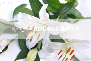 濮阳森林消防日是哪一天