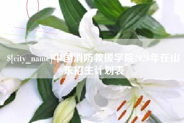 濮阳中国消防救援学院2020年在山东招生计划表