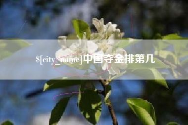 濮阳中国夺金排第几