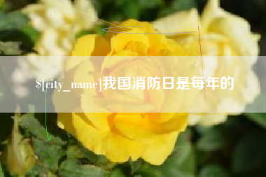 濮阳我国消防日是每年的