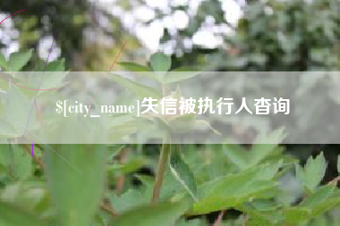 濮阳失信被执行人杳询