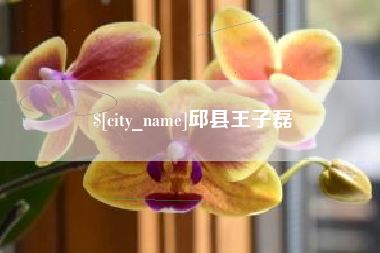 濮阳邱县王子磊