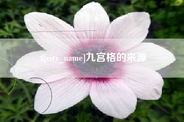 濮阳九宫格的来源