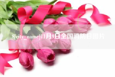 濮阳11月9日全国消防日图片