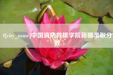 濮阳中国消防救援学院新疆录取分数