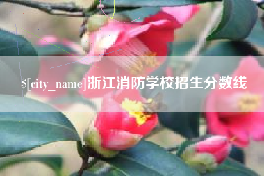 濮阳浙江消防学校招生分数线