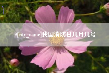 濮阳我国消防日几月几号